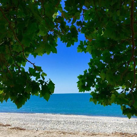 Guesthouse U Moti New Athos Экстерьер фото