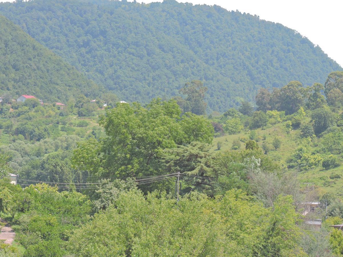 Guesthouse U Moti New Athos Экстерьер фото